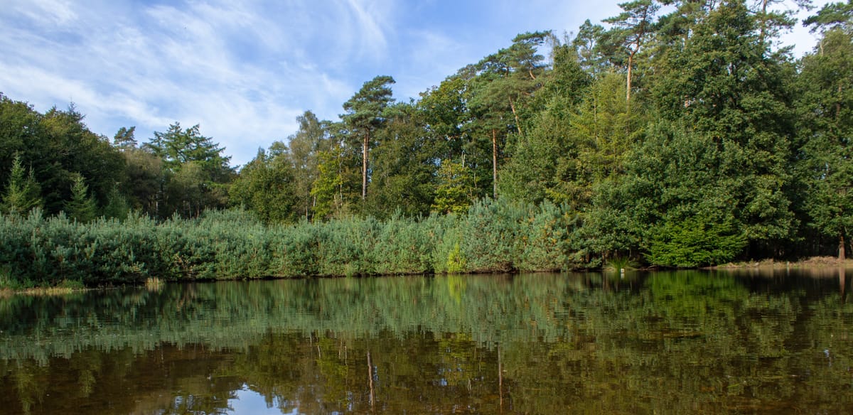 Water extraction area Schalterberg