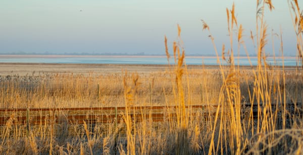 Exploring Oostvaardersplassen – A 10km Hike Through Nature